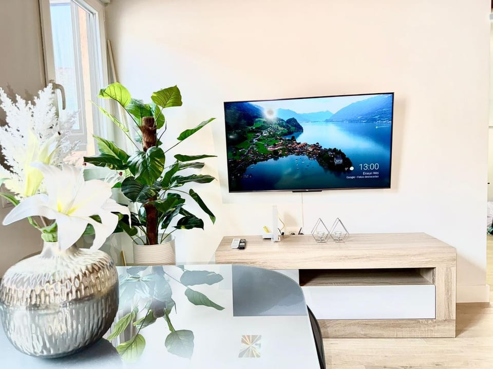 TV and multimedia