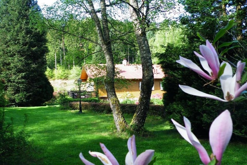 Chalet au bord de l’eau Chalet in Grand Est