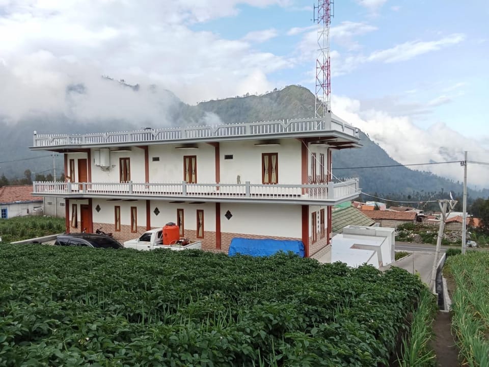 Property building, Patio, Day, Natural landscape, Garden, Garden, Garden view, Mountain view