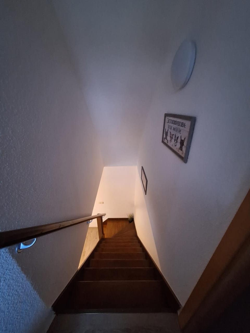 Emma Apartment in Greifswald