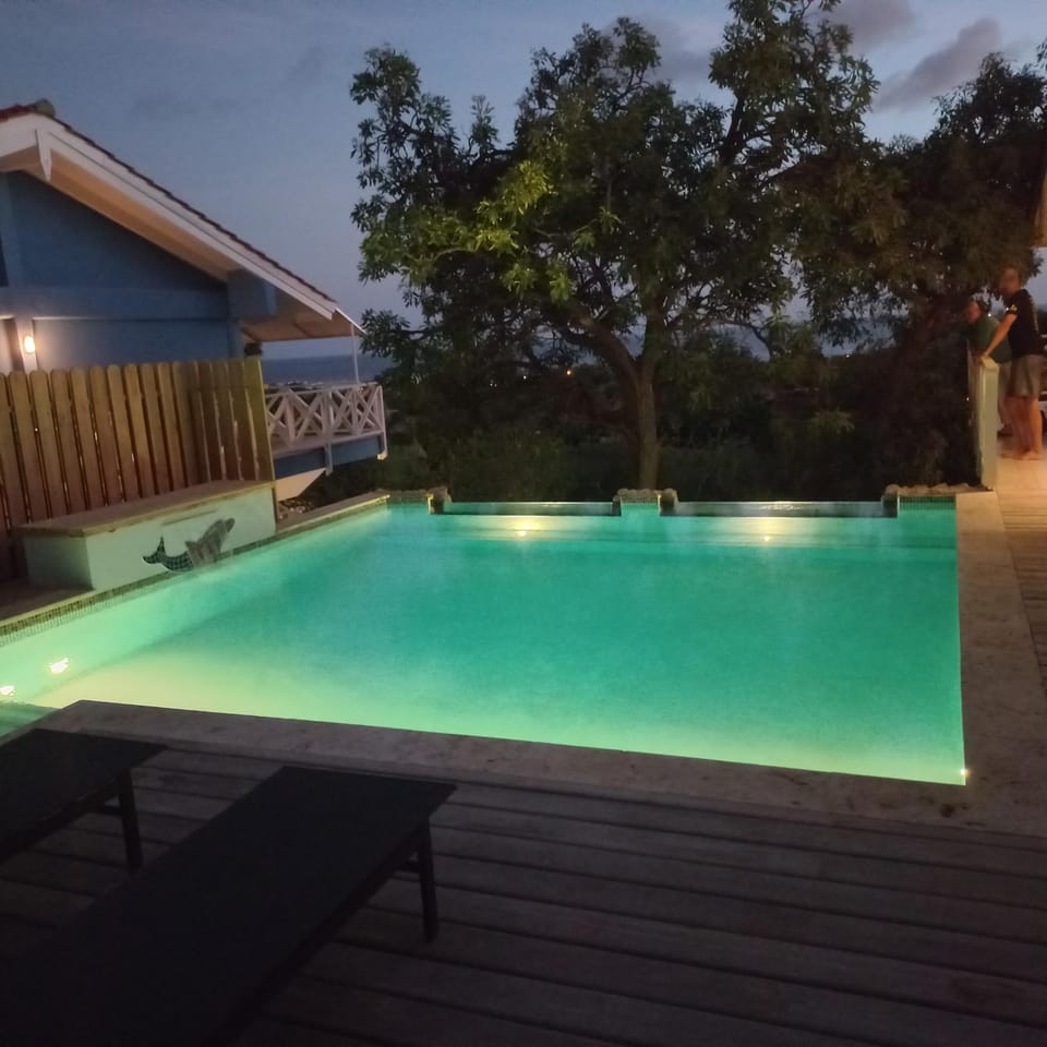 Night, Pool view, Swimming pool, sunbed