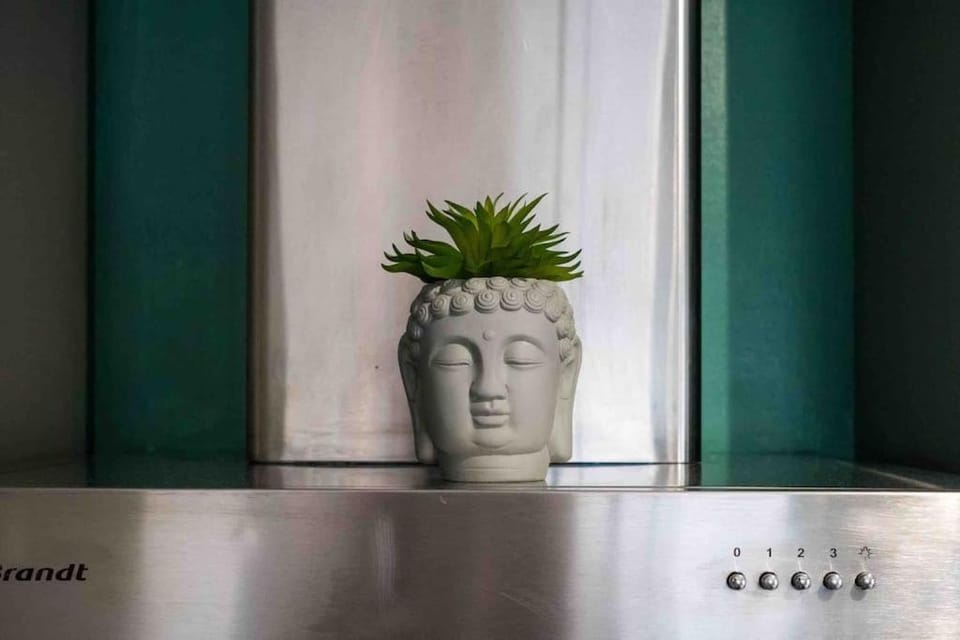 Studio cosy/Parking/Jardin Apartment in Toulouse