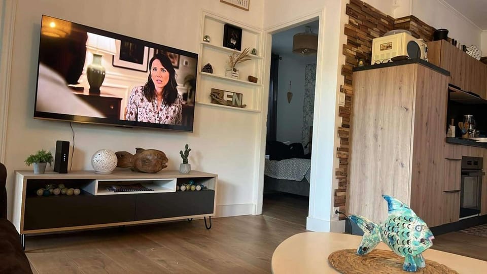 TV and multimedia