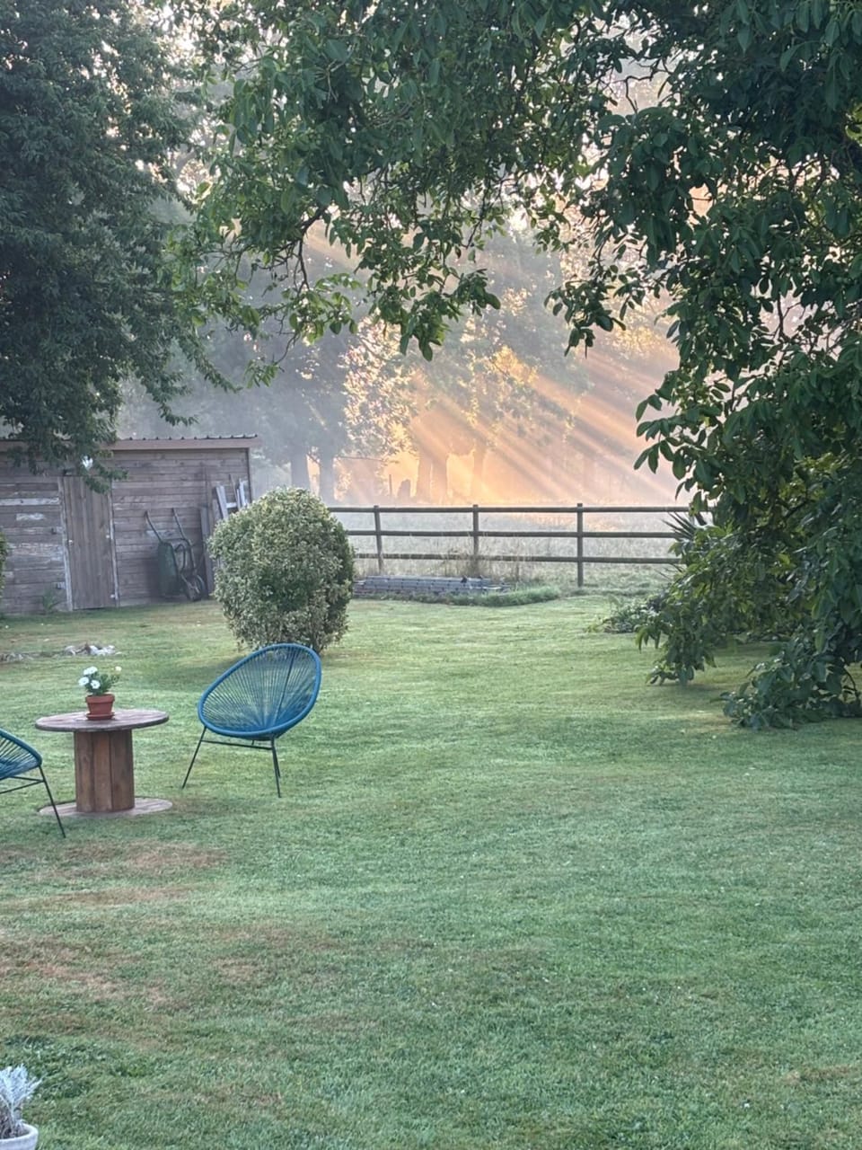 Garden