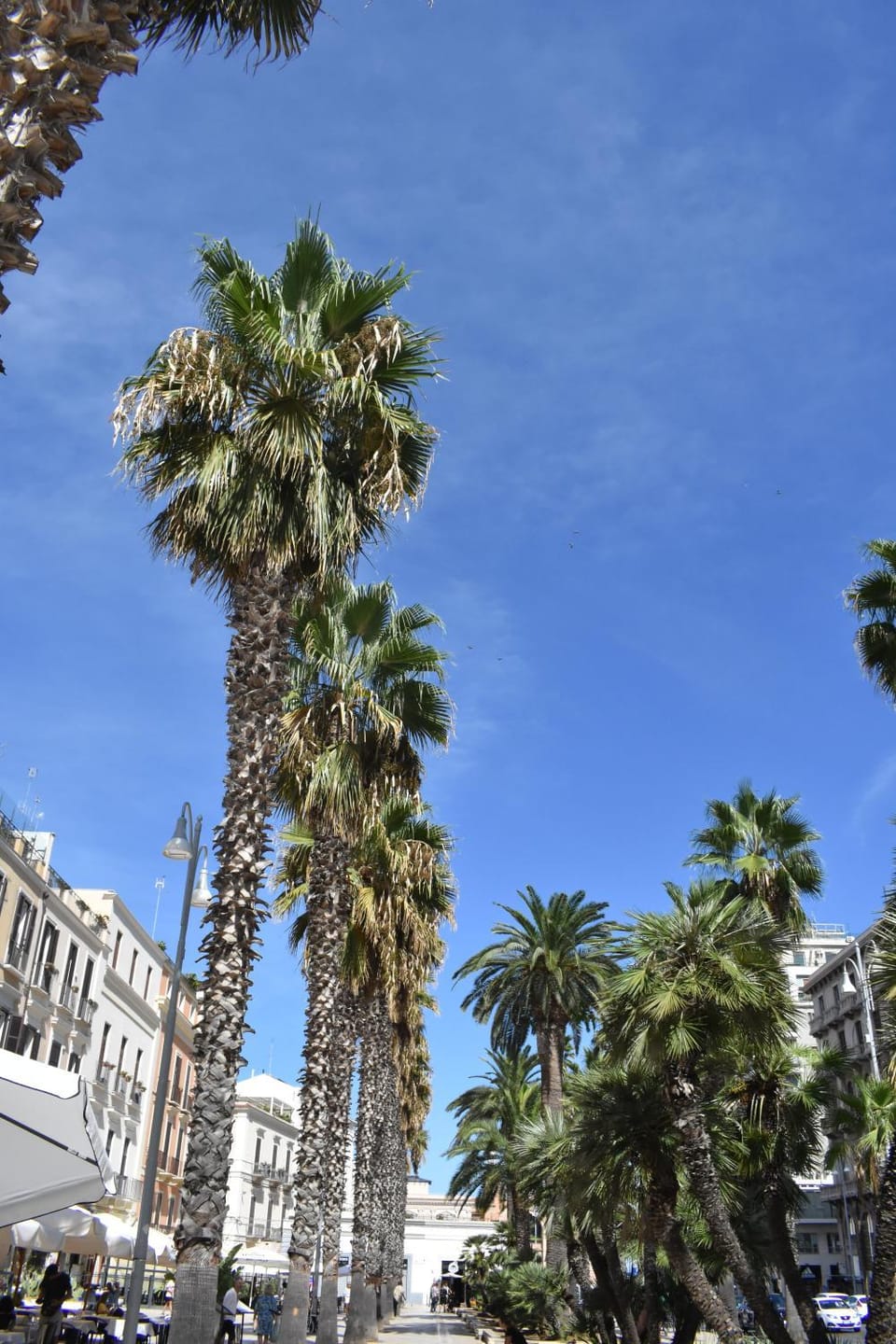 Location