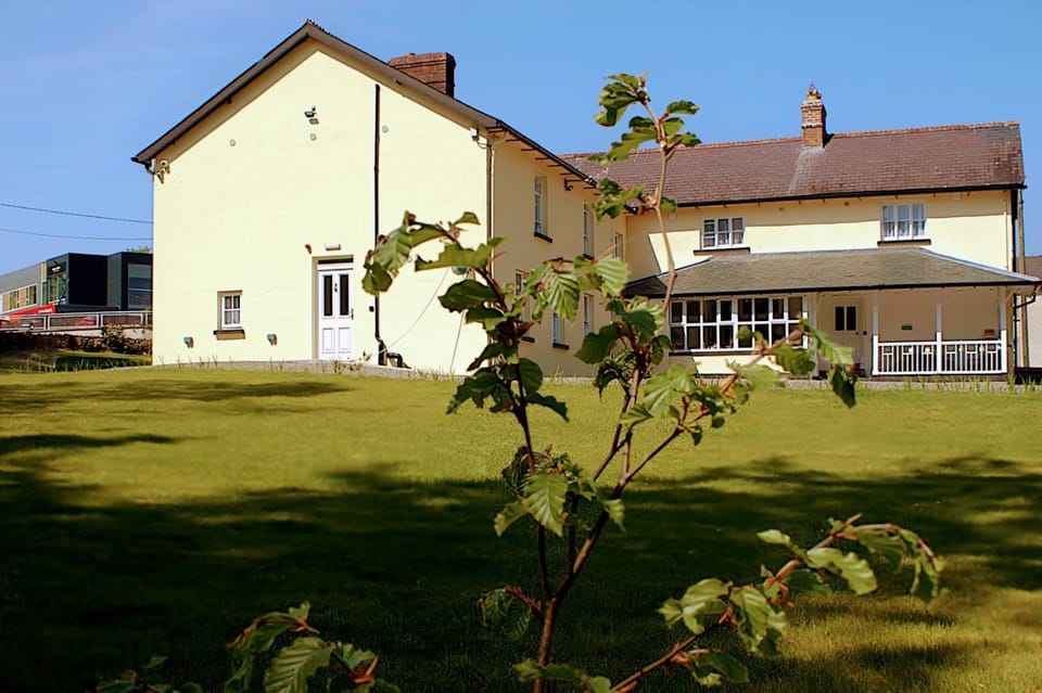 The Monkey Puzzle Bed and Breakfast in Ireland