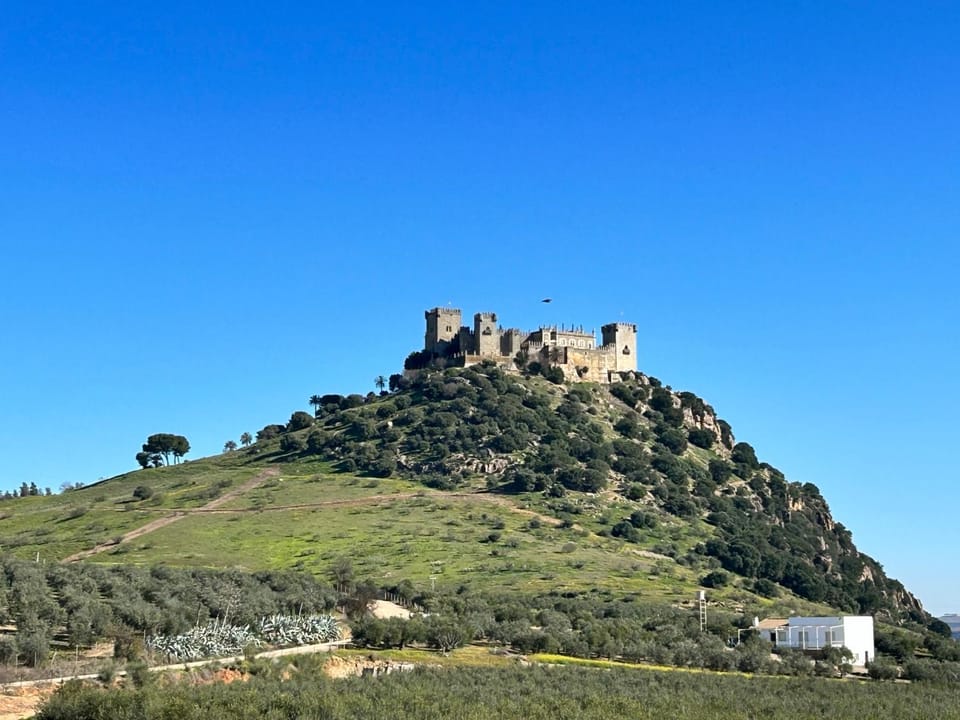 Landmark view