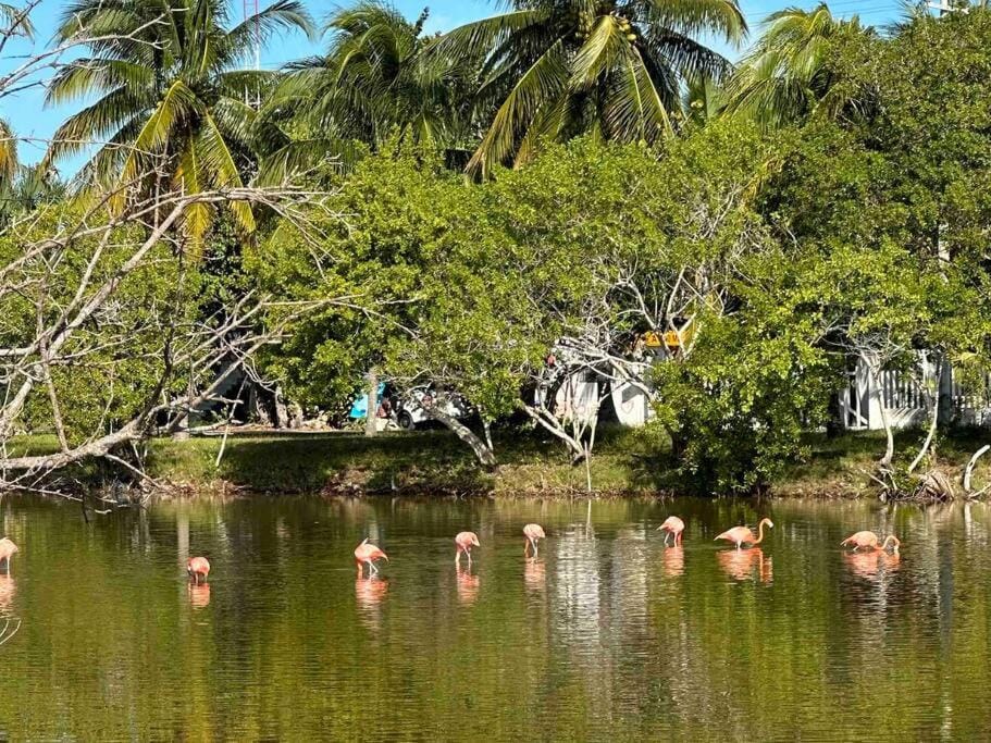 Unique Beachfront Casa Kyma, Pool, San Crisanto, Yucatan Villa in State of Quintana Roo