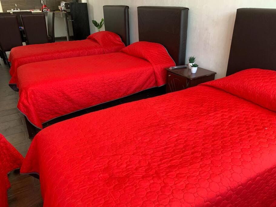 Departamento Las Rosas Apartment in San Cristobal de Casas