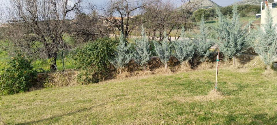 Day, Natural landscape, Garden, Garden view