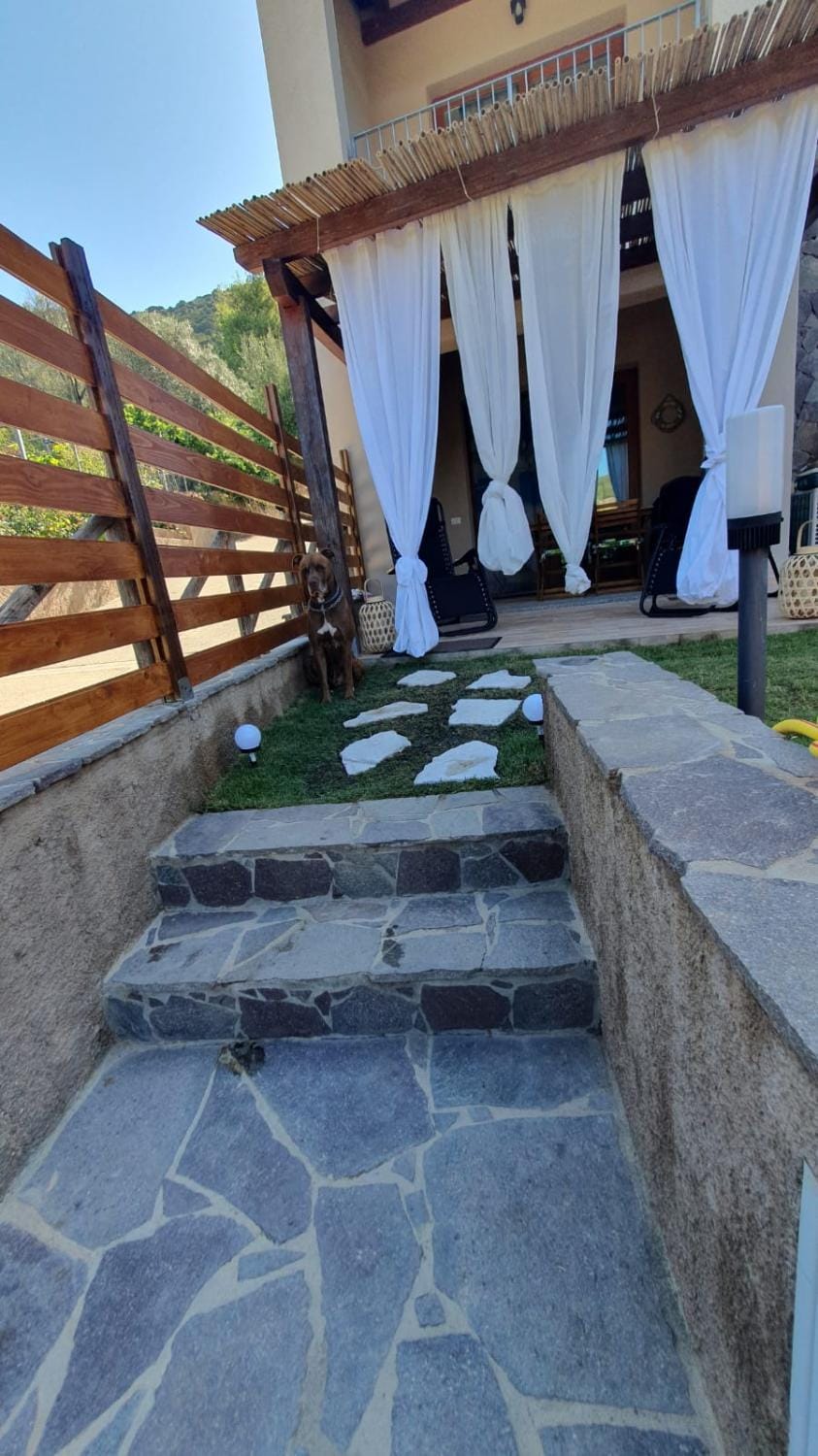 Patio, Garden, Garden view