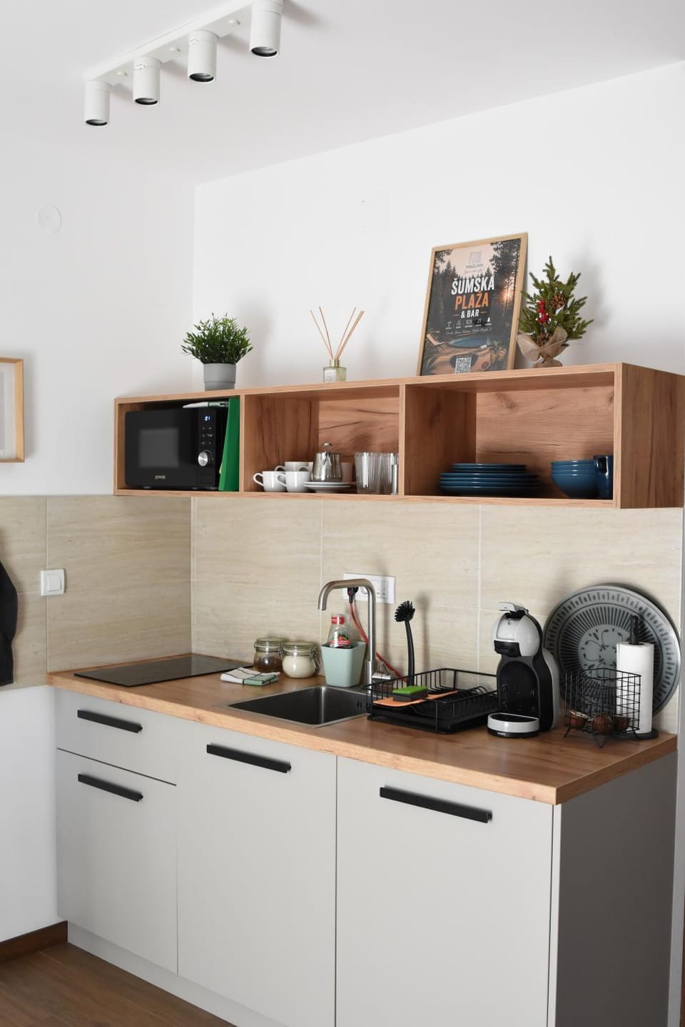 Studio Apartman Nomad Divčibare Apartment in Zlatibor District, Serbia
