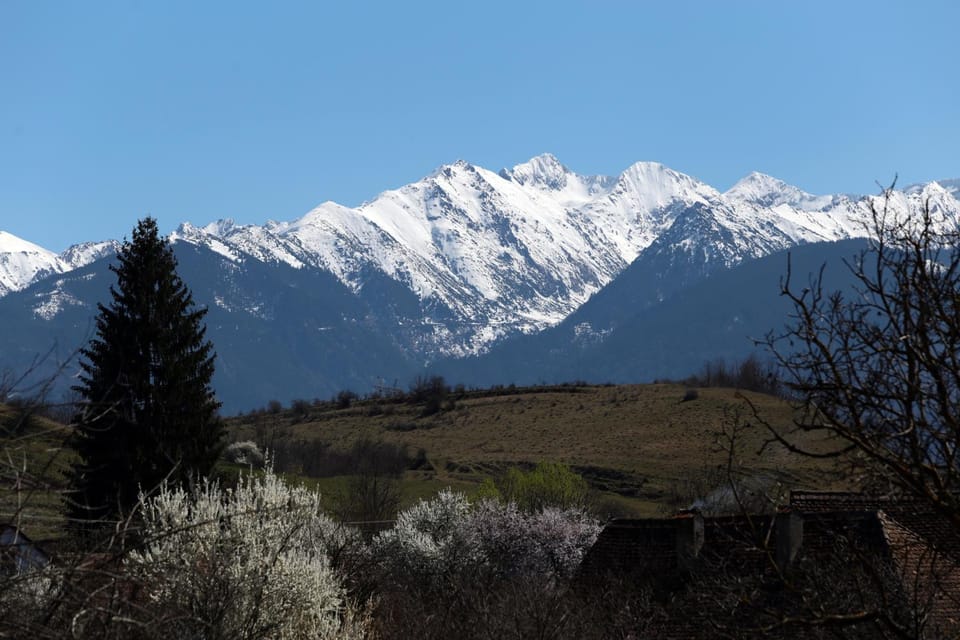 Nearby landmark, Day, Natural landscape, Garden, Mountain view
