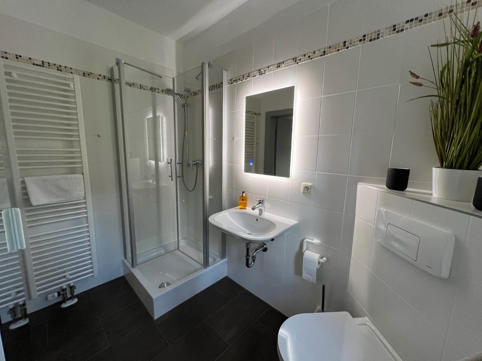 Shower, Toilet, Bathroom, towels
