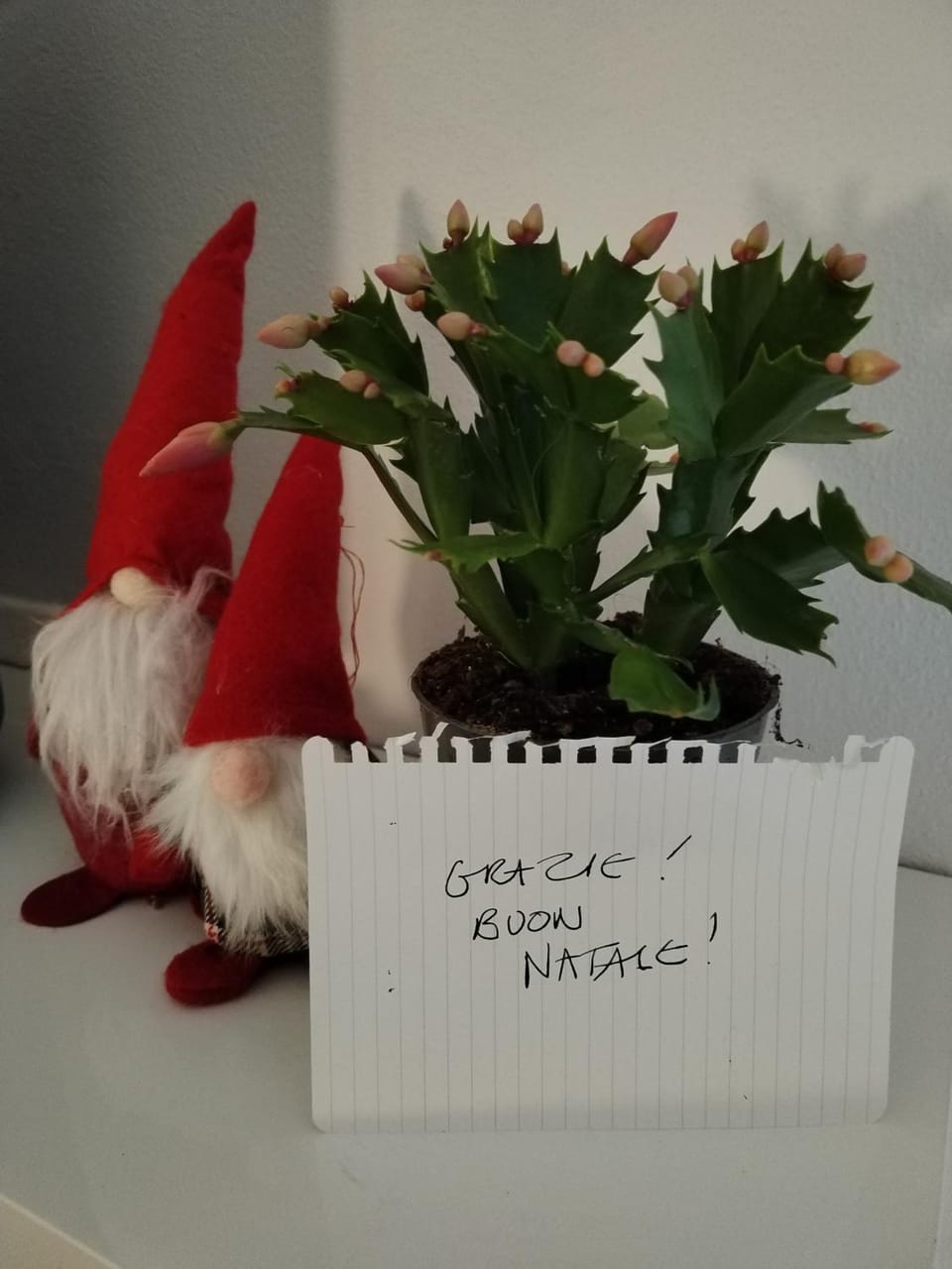 un balcone sul lago Apartment in Omegna