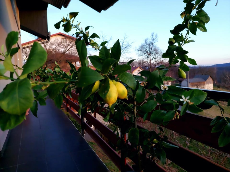 Apartman MASHA Apartment in Slovenia