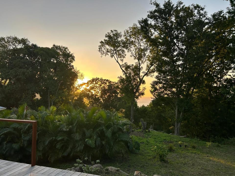 Garden view, Sunset