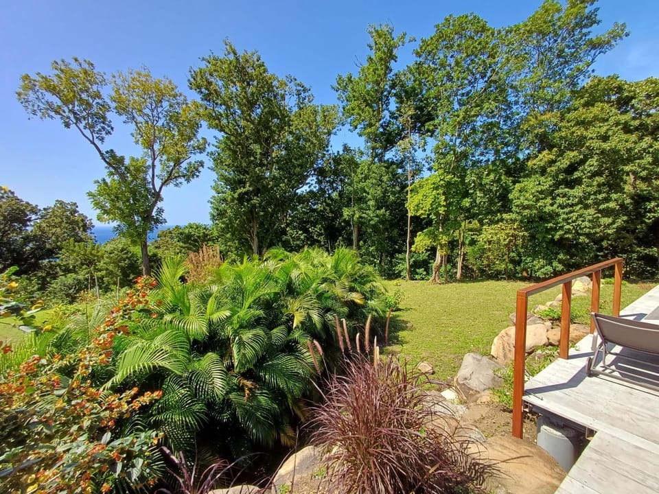 Natural landscape, Garden