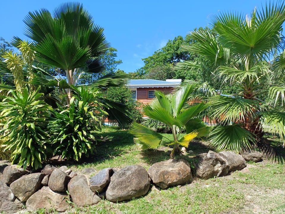 Natural landscape, Garden view