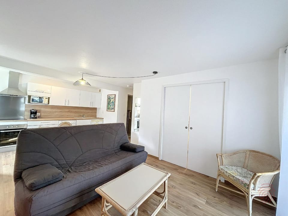 Charmant F2 avec Terrasse, Proche Thermes et Centre-Ville - Animaux Bienvenus, Wifi Inclus - FR-1-451-205 Apartment in Occitanie