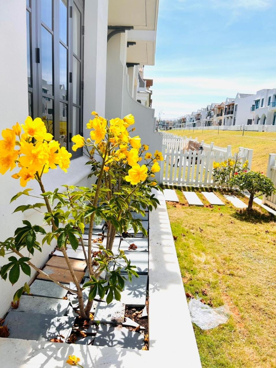Garden, Garden view