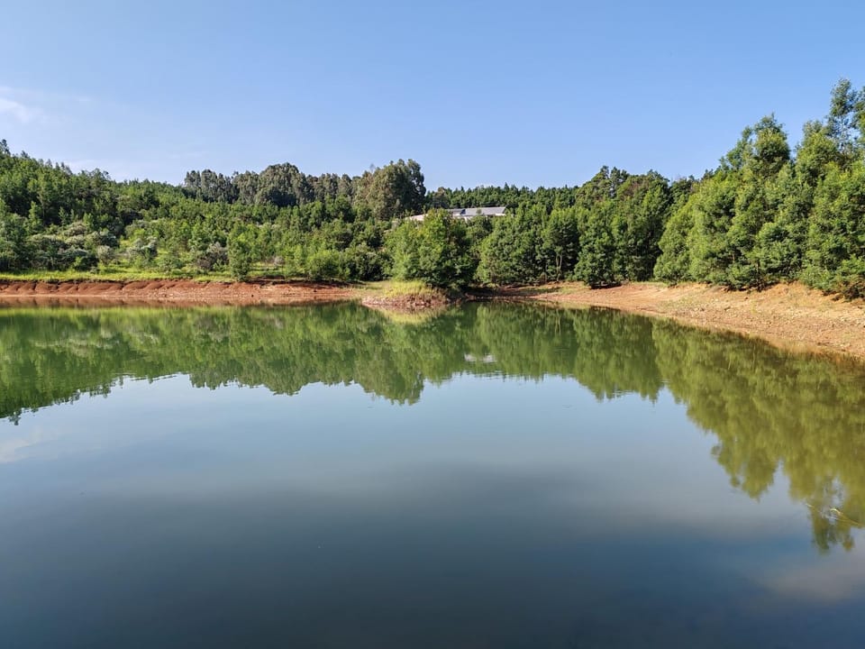 Natural landscape, Fishing, Lake view