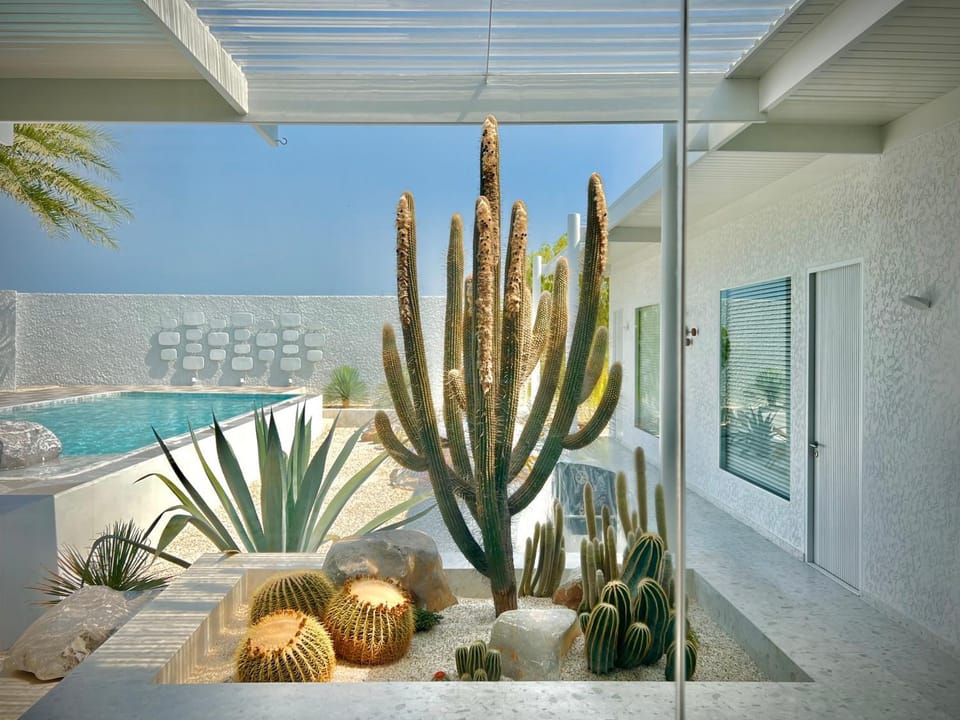 Day, Garden, Garden view, Pool view, Swimming pool