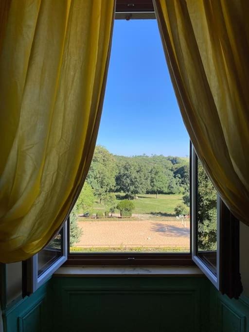 Day, Natural landscape, View (from property/room), Garden view