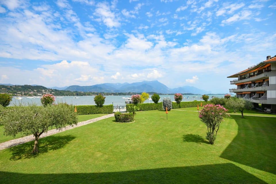 Patio, Garden, Garden view