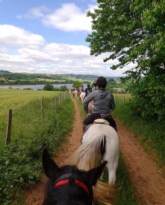 Day, People, Natural landscape, Horse-riding, Animals, group of guests