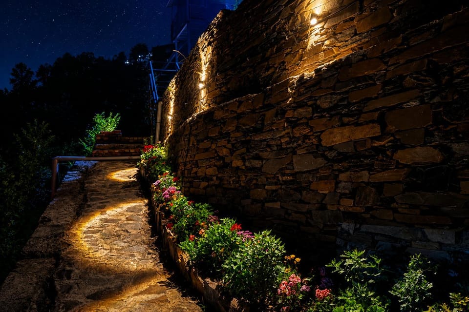 Night, Garden view
