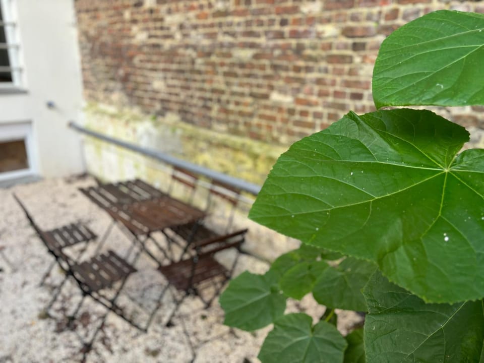 Havre des Anges - Pont de Fragnée, Guillemins Apartment in Liège