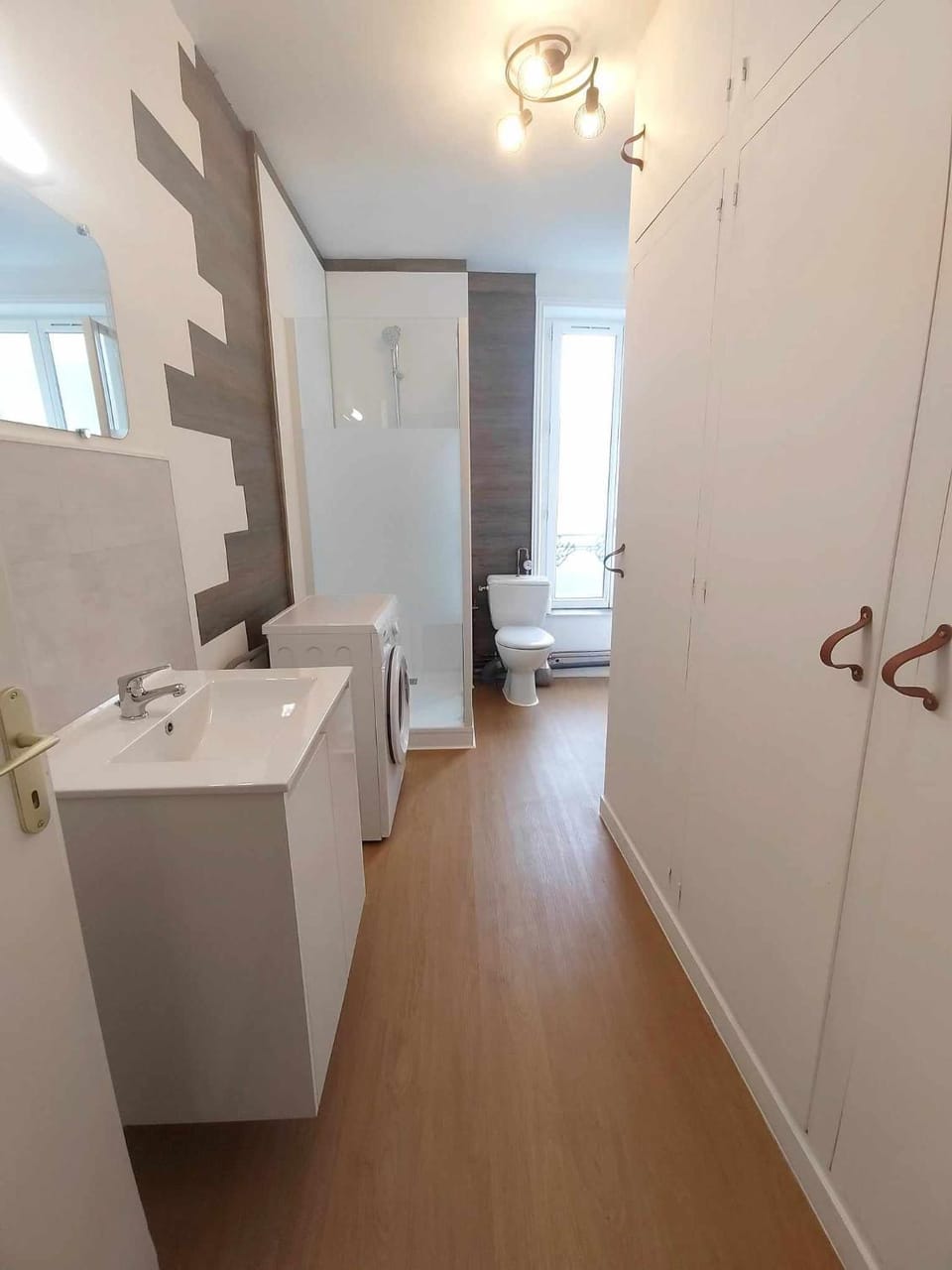 Toilet, Bathroom, washing machine