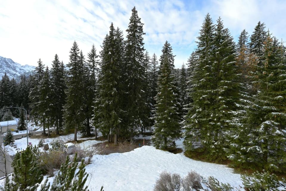 Winter, View (from property/room)