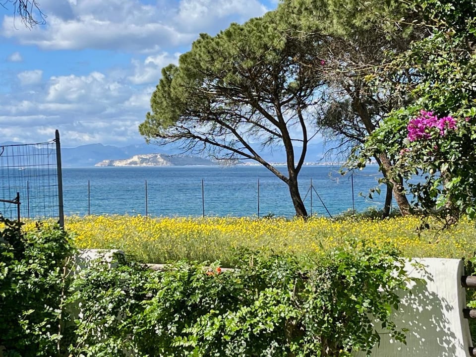 Sea view