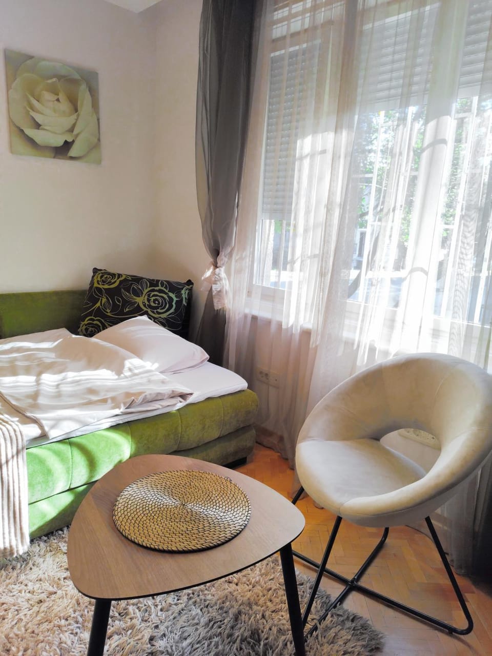 Studio apartment CENTER Apartment in Podgorica