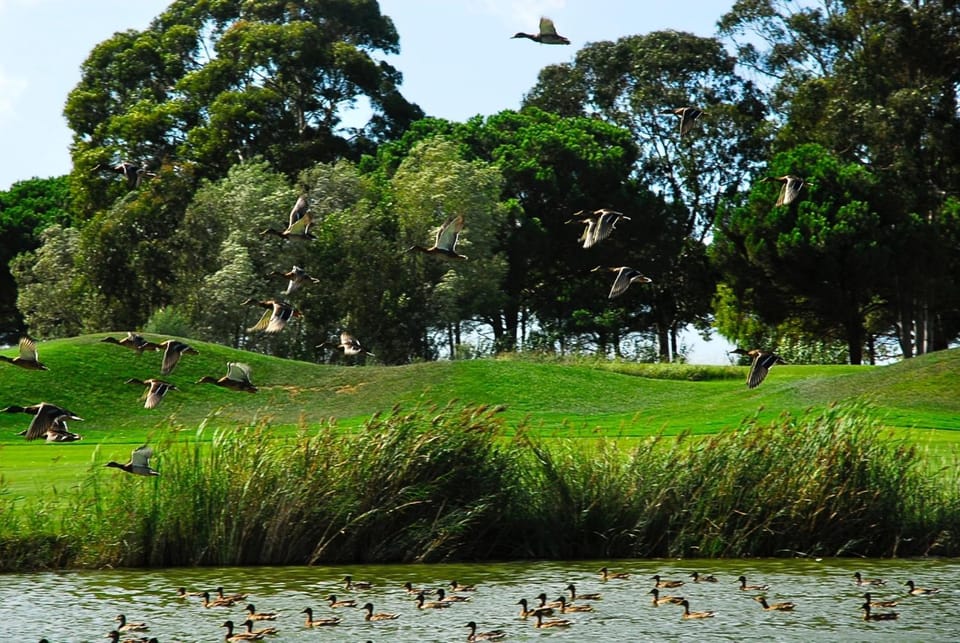 Natural landscape