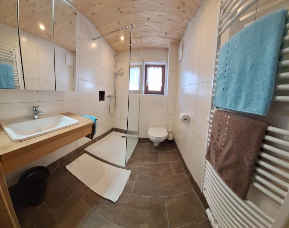 Shower, Toilet, Bathroom, towels