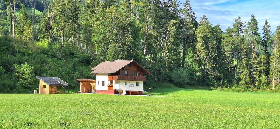 Property building, Day, Garden