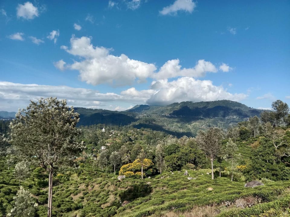The bawa guest Inn Bed and Breakfast in Central Province