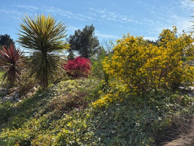 BROSSARD Bed and Breakfast in Cavaillon