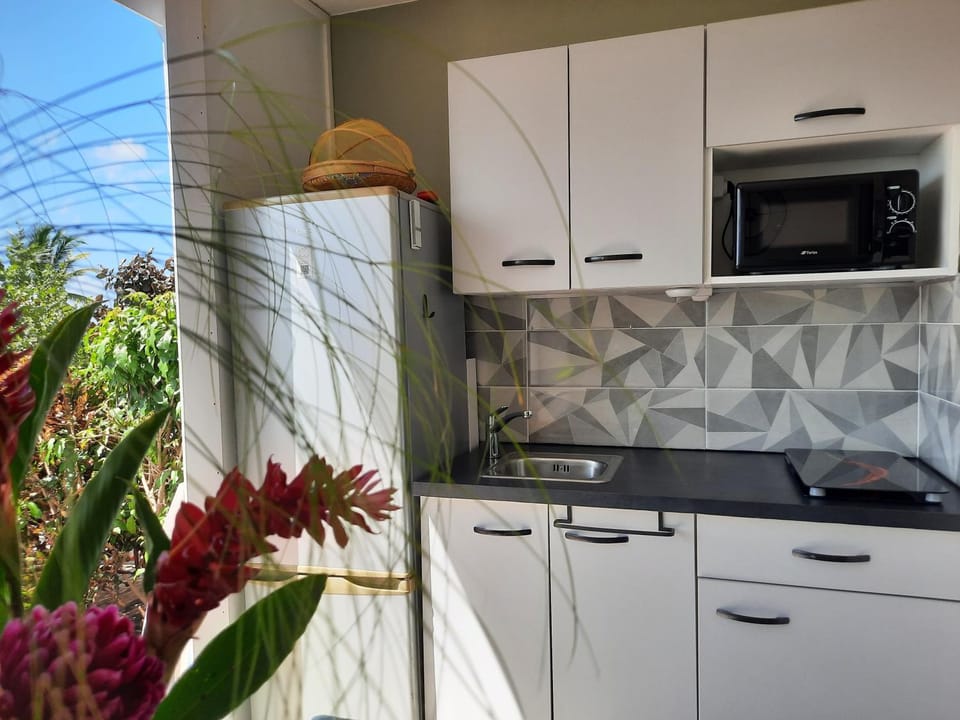 Meals, microwave, stove, kitchen