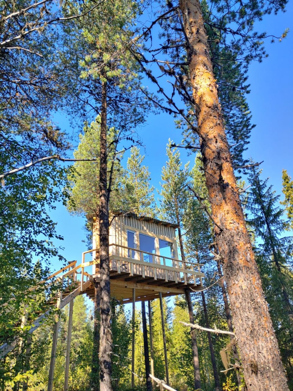 Aurora Lodge Luxury tent in Norrbotten County, Sweden