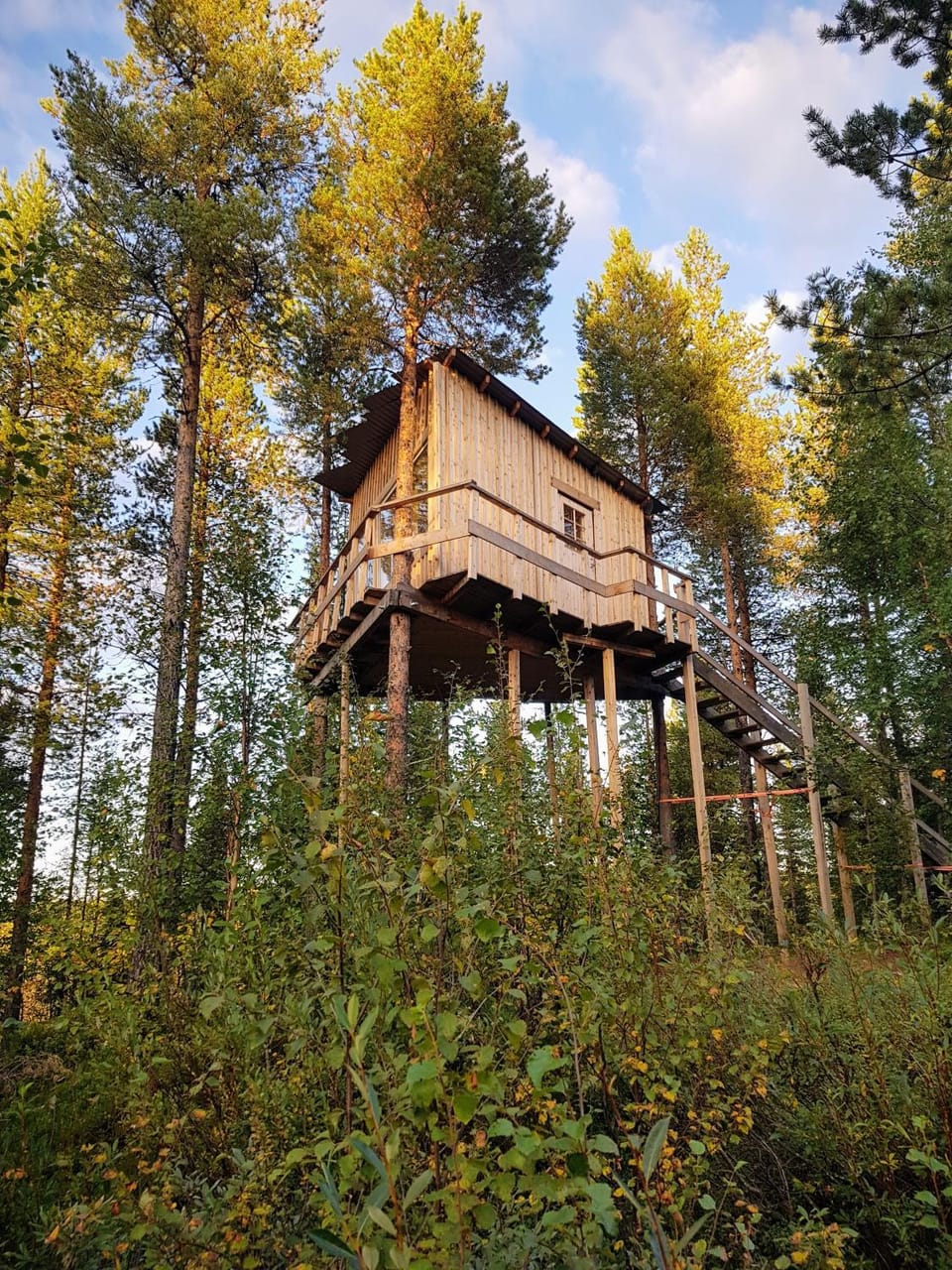 Aurora Lodge Luxury tent in Norrbotten County, Sweden
