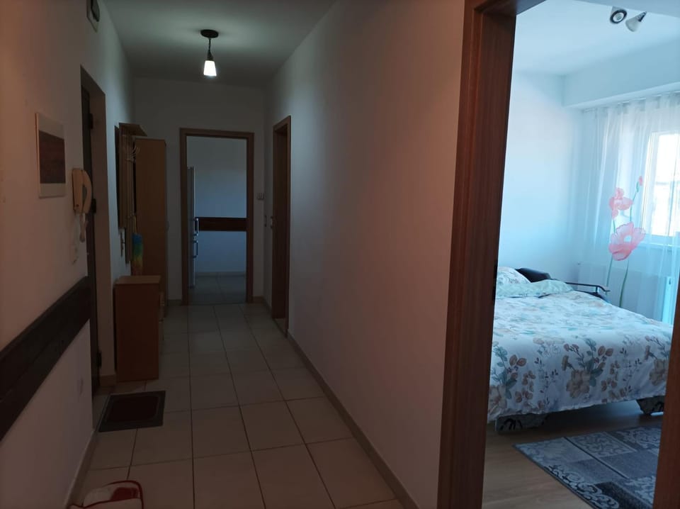 Apartament Alex Apartment in Romania