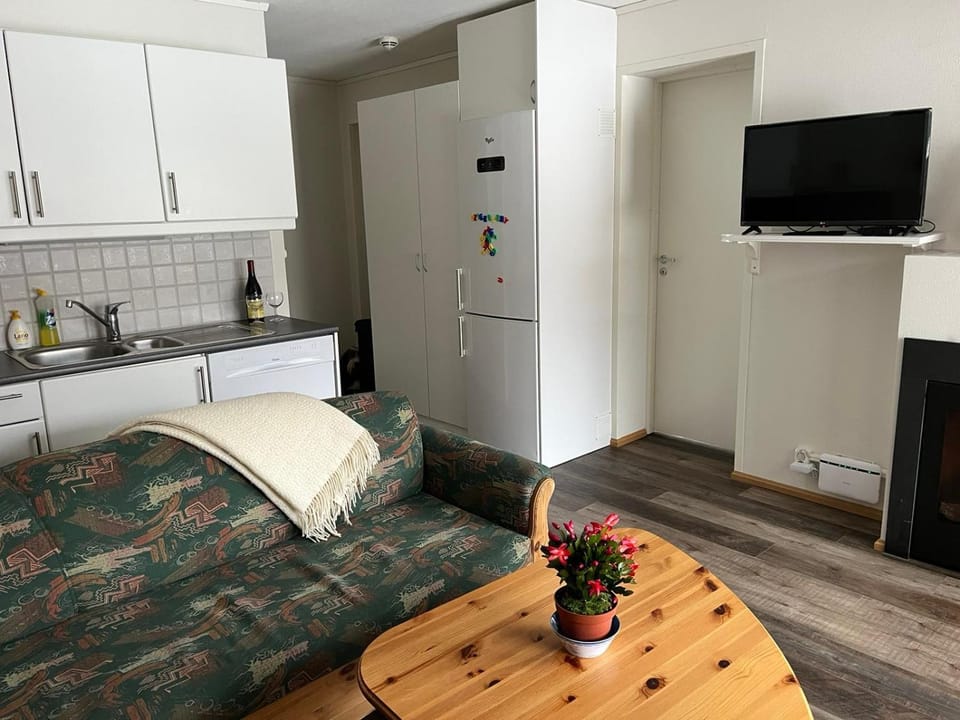Living room, kitchen
