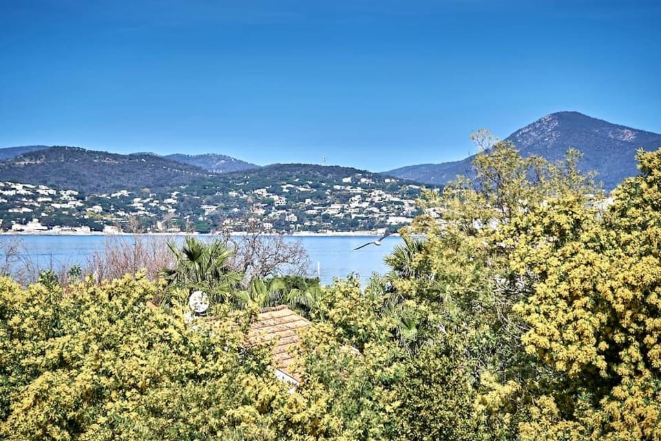 L'Amourette - Appartement 4 personnes - Piscine Parking Apartment in Saint-Tropez