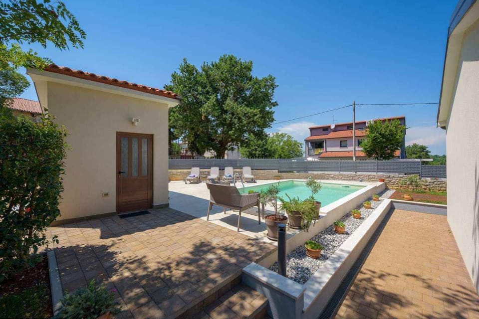 Summer, Garden, Swimming pool
