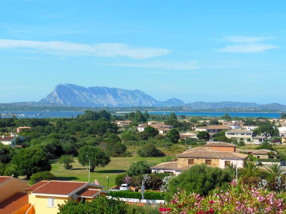 Mono Citai Apartment in Sardinia