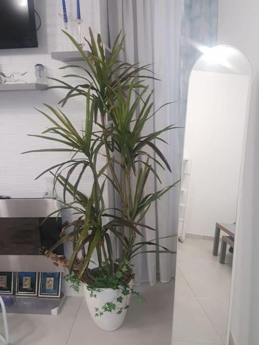 SOFIA HOUSE living in the heart of Naples Apartment in Naples
